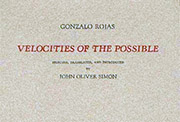 Portada de «Velocities of the Possible»