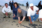 Homero Aridjis y Betti Ferber en la playa con tortugas golfinas