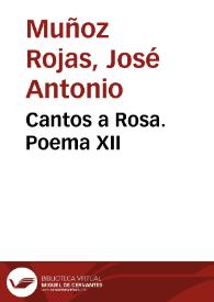 Cantos a Rosa.  Poema XII 