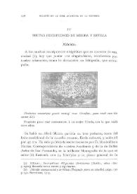 Nuevas inscripciones de Mérida y Sevilla