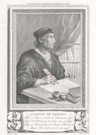Elio Antonio de Nebrija. Imágenes