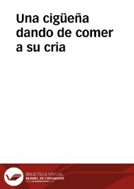 Una cigüeña dando de comer a su cria