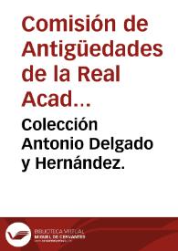 Colección Antonio Delgado y Hernández.