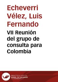 VII Reunión del grupo de consulta para Colombia