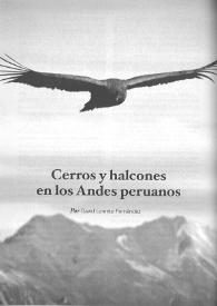 Cerros y halcones en los Andes peruanos 