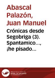 Crónicas desde Segobriga (03). Spantamico..., ¡he pisado tu nombre! / Juan Manuel Abascal Palazón | Biblioteca Virtual Miguel de Cervantes