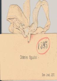 Más información sobre Carta de Agustini, Delmira