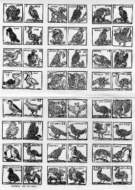 Aves | Biblioteca Virtual Miguel de Cervantes