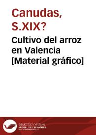 Cultivo del arroz en Valencia [Material gráfico] | Biblioteca Virtual Miguel de Cervantes
